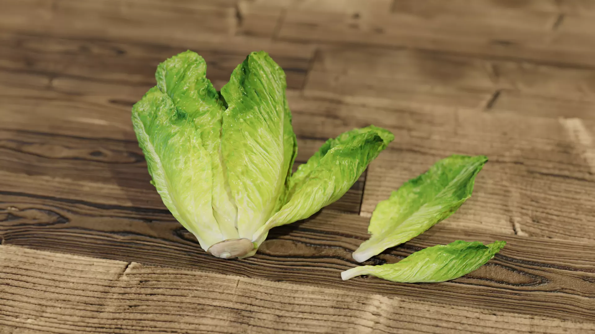 Lettuce Hyper-realistic 3D model_0