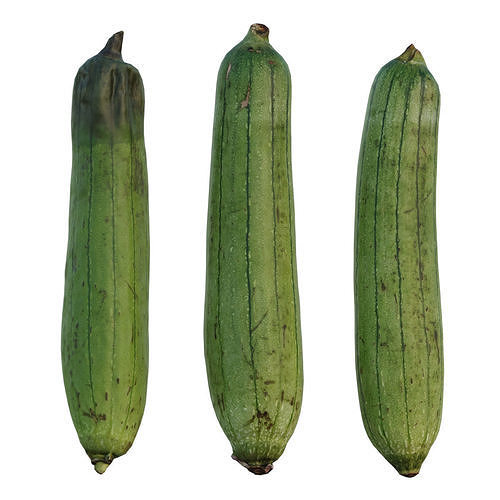 Sponge Gourd 3D model