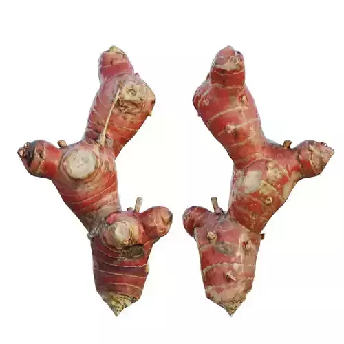 Galangal roots