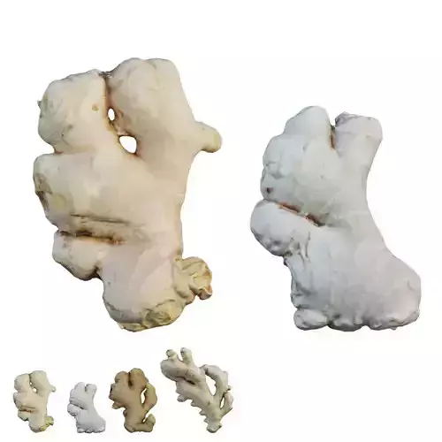 Ginger pair of roots