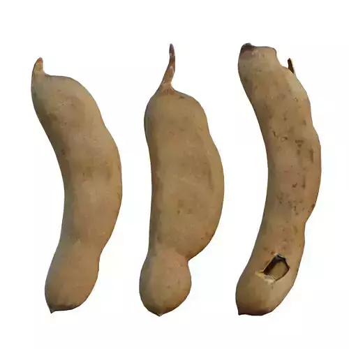 Tamarind three sticks