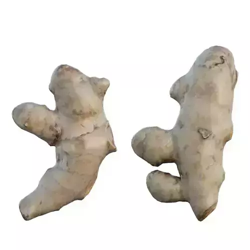 Turmeric two gingers