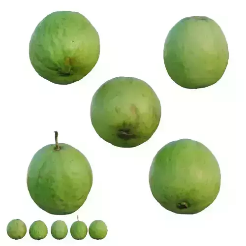 Guava fruit 3D model