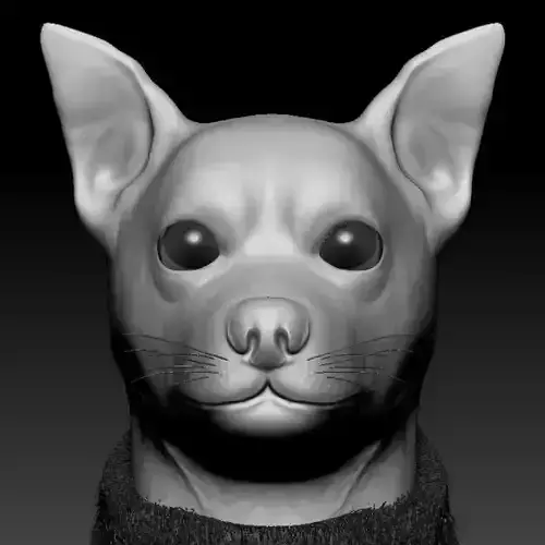 Chihuahua wearing scarf