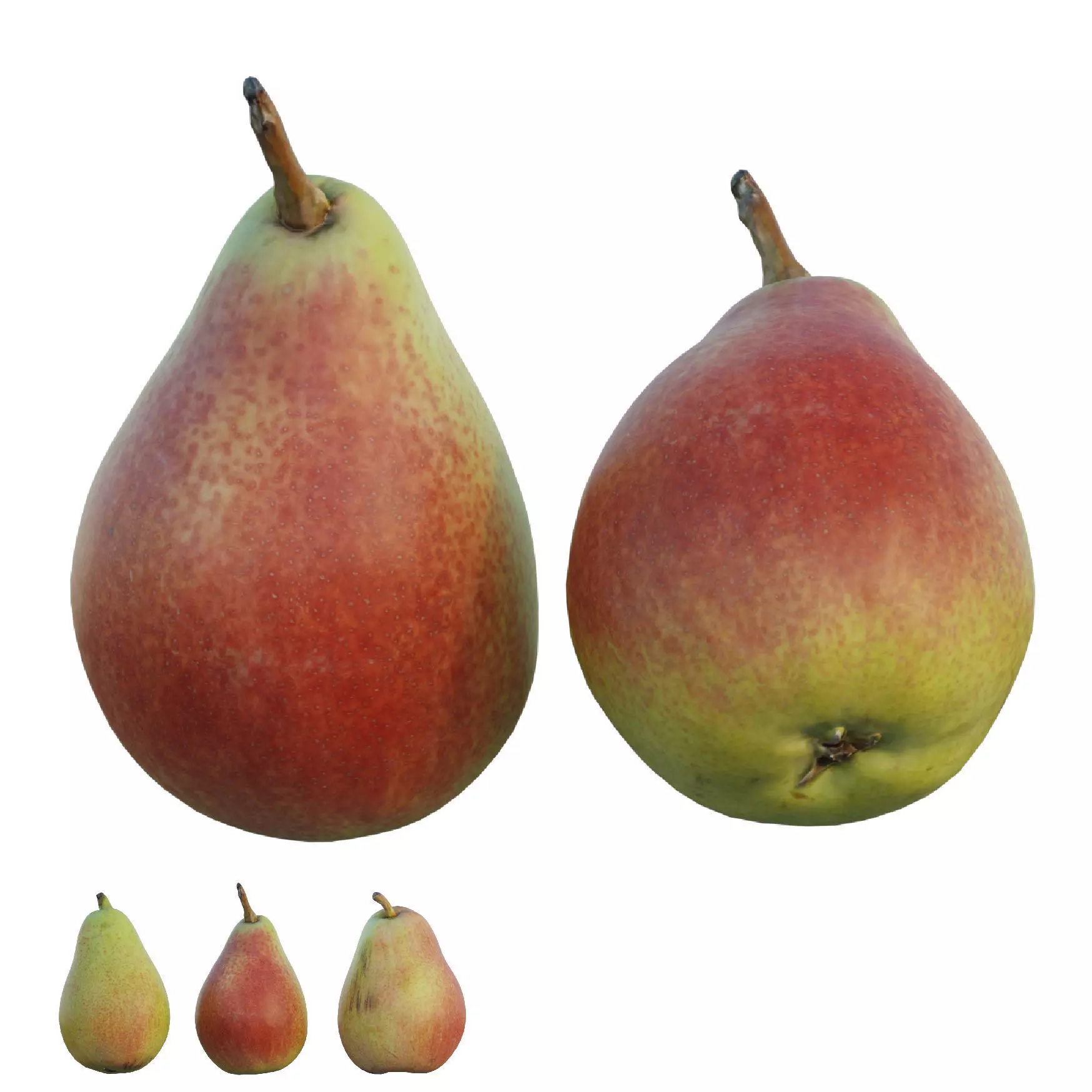 Cheeky pear 3D model
