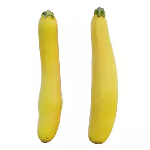 zucchini two squash
