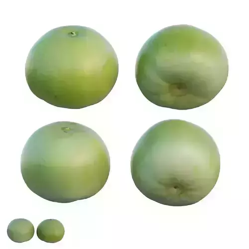 Pear shaped pyrifrom melon