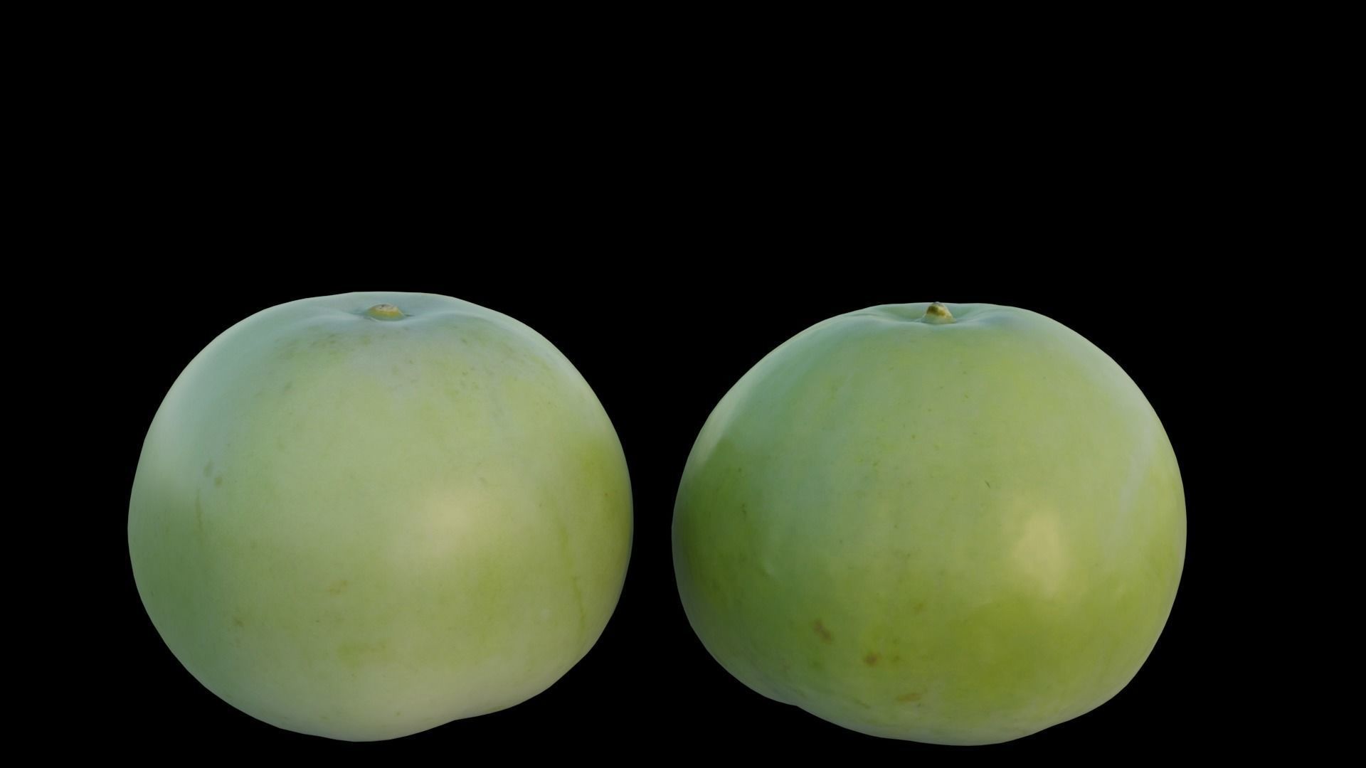 Pear shaped pyrifrom melon 3D model_2