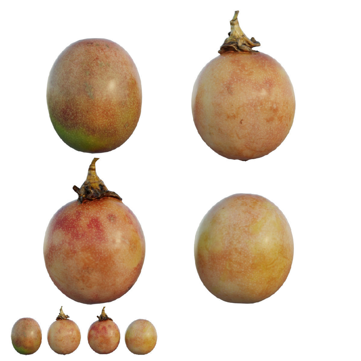 passion fruit 3D model_1
