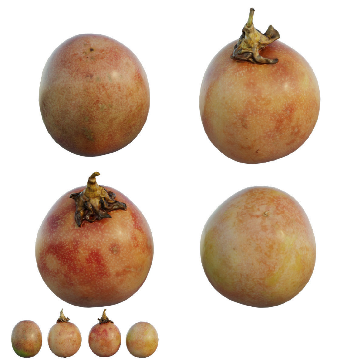 passion fruit 3D model_2