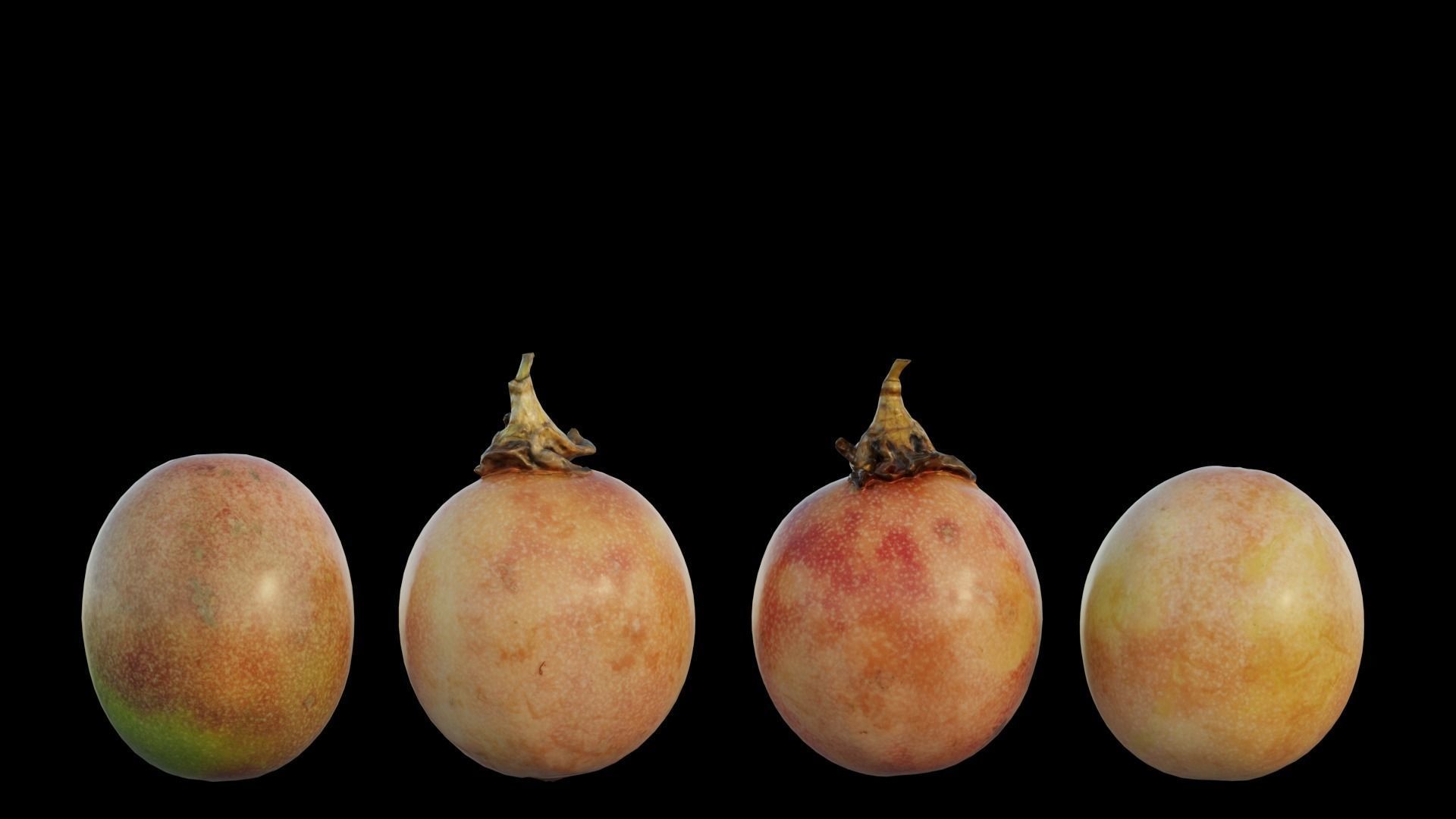 passion fruit 3D model_4