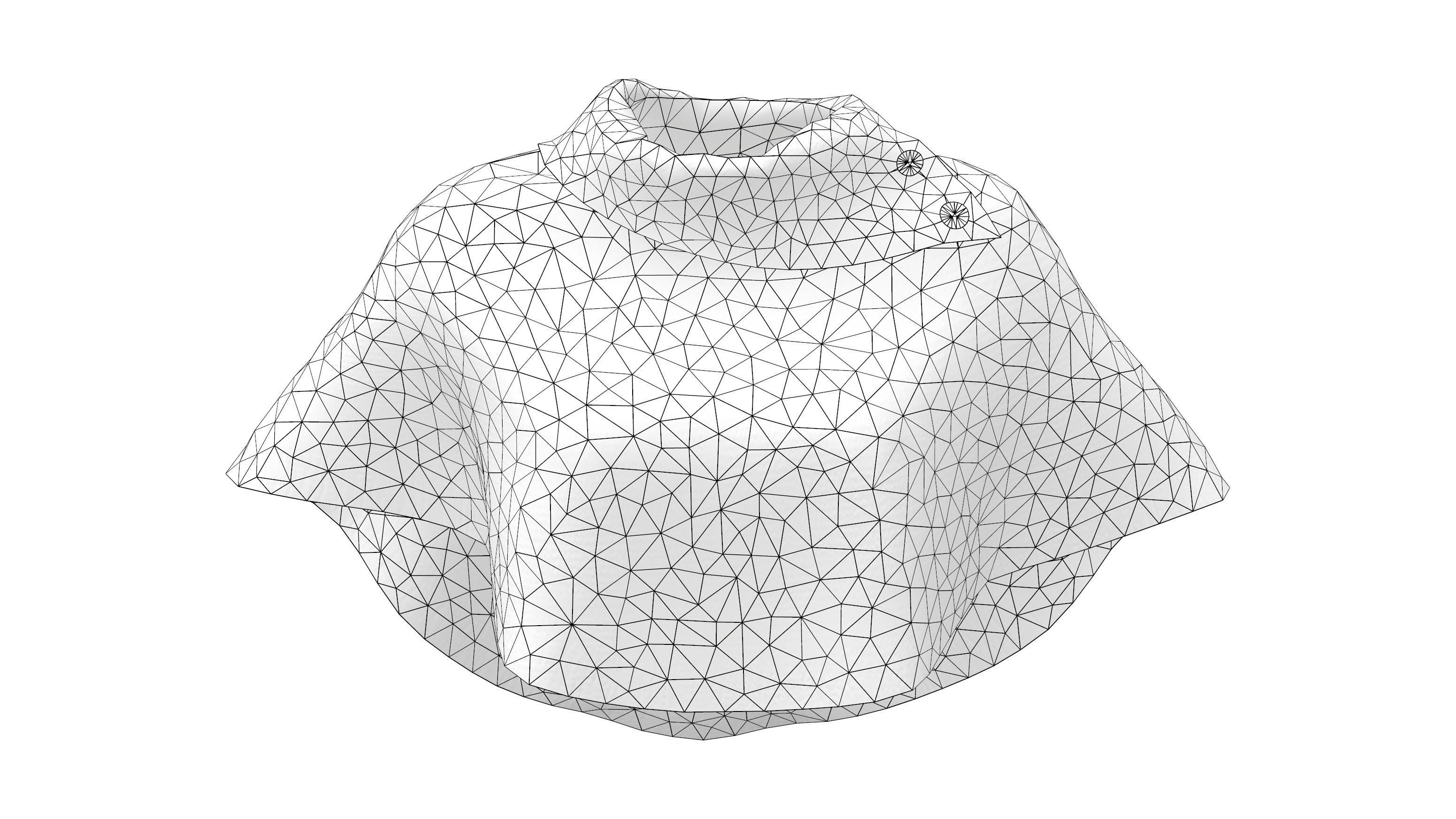 Ladies Poncho V1 Low-poly 3D model_8