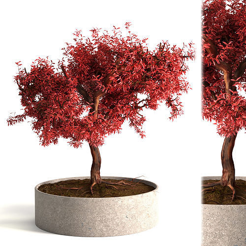 Red Decorative tree 3D model