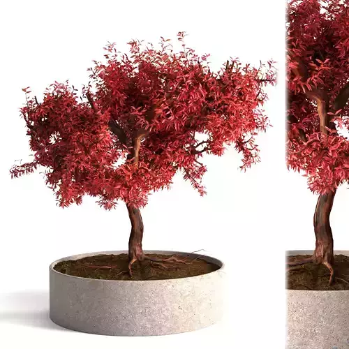 Red Decorative tree 3D model