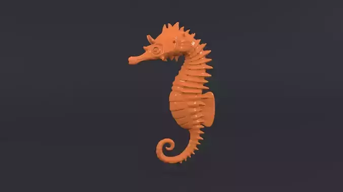 Sea Horse