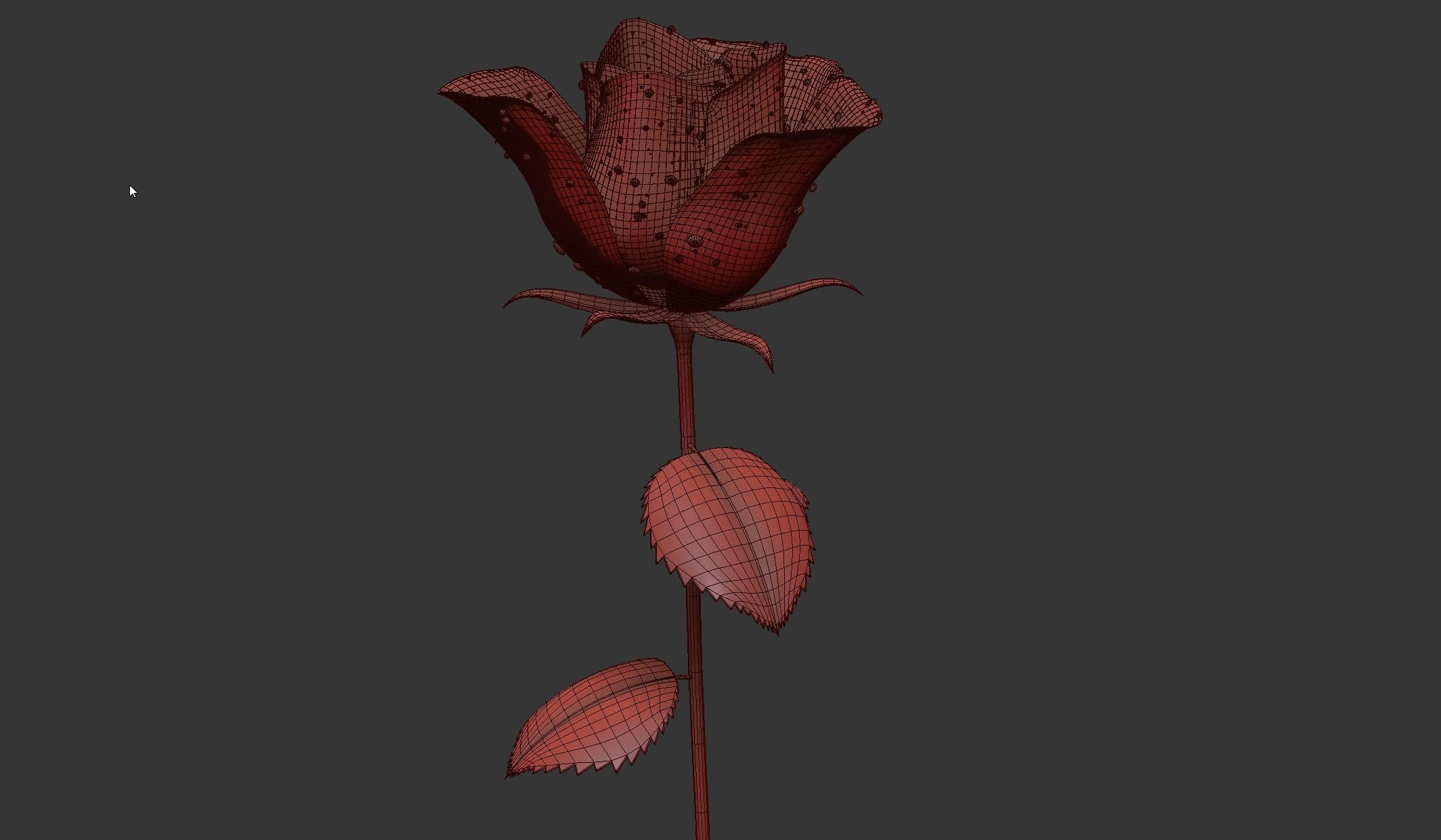 Rose Flower Growth Animation 3D model_10