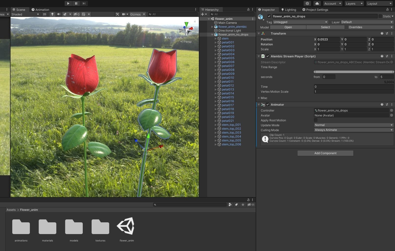 Rose Flower Growth Animation 3D model_7
