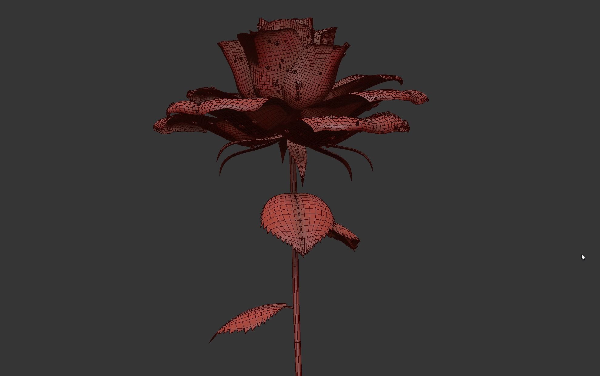 Rose Flower Growth Animation 3D model_12