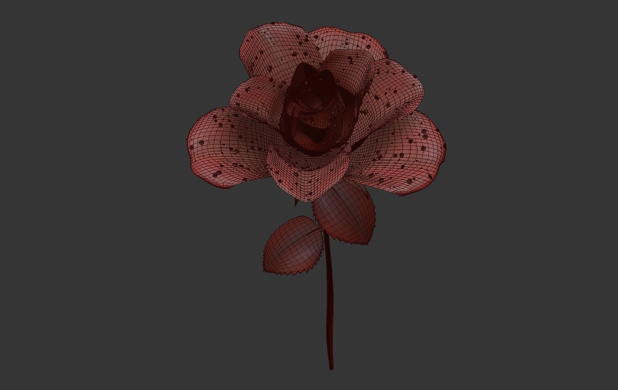 Rose Flower Growth Animation 3D model_11