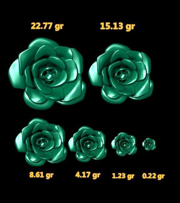 6 Pieces of Flowers 3D print model_16