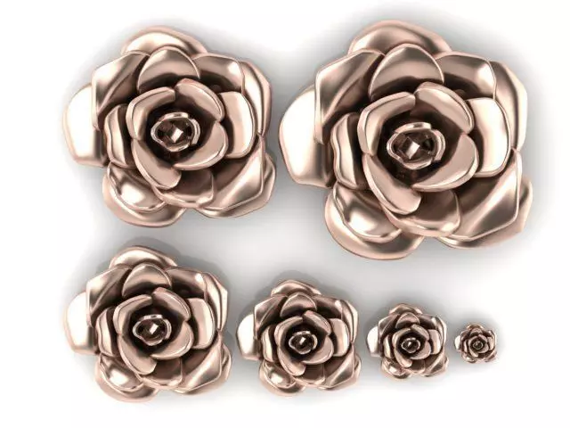 6 Pieces of Flowers 3D print model_0