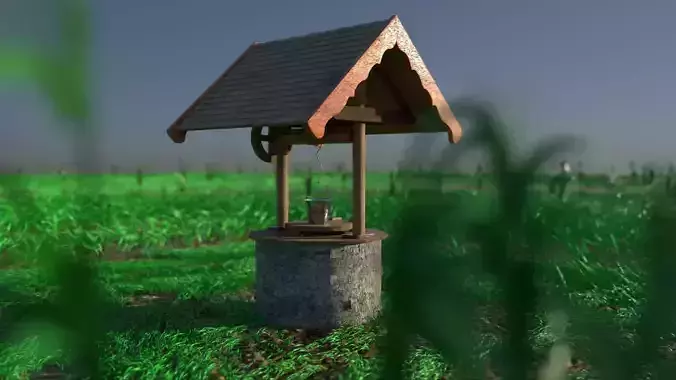 Well and Grass Field