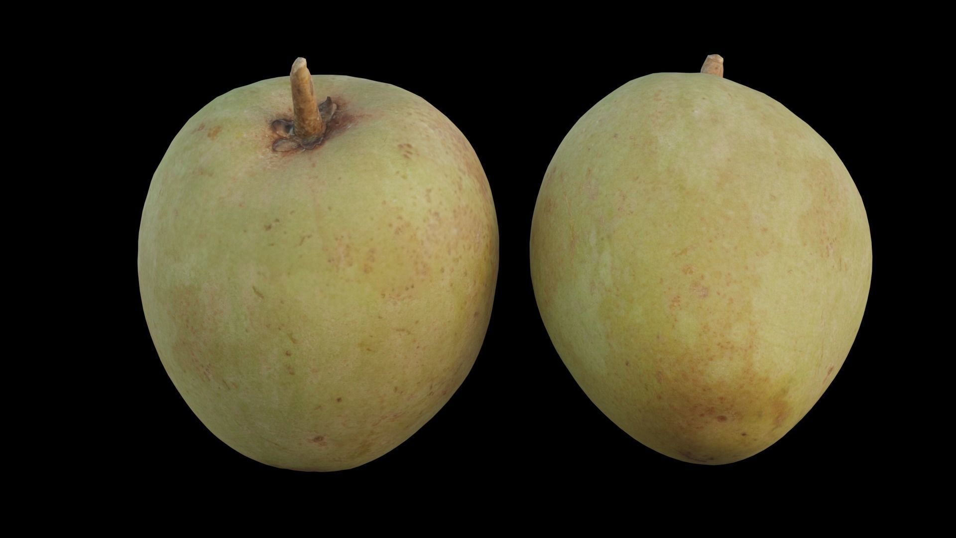 Sapote two mangoes 3D model_10