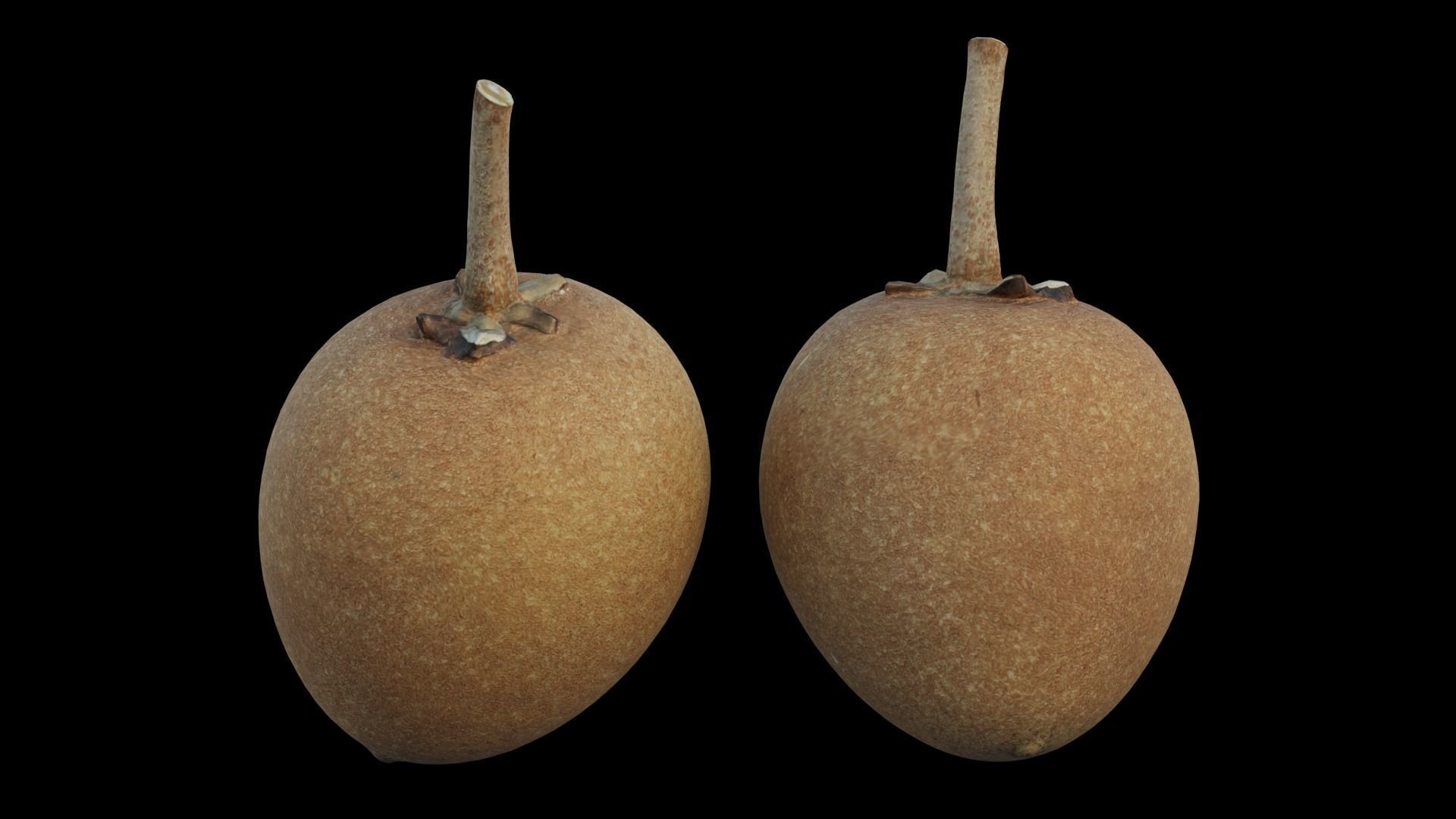 Sapote two mangoes 3D model_12