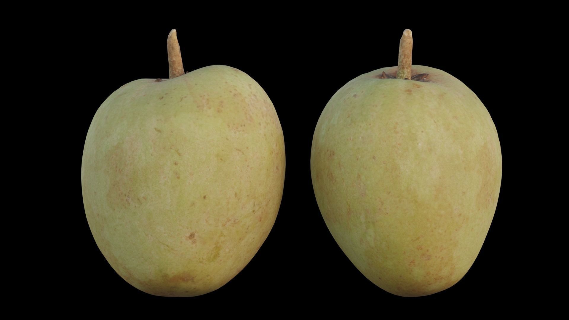 Sapote two mangoes 3D model_9