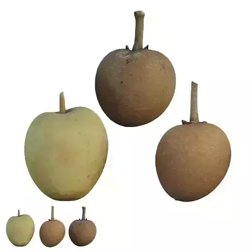 Sapote two mangoes