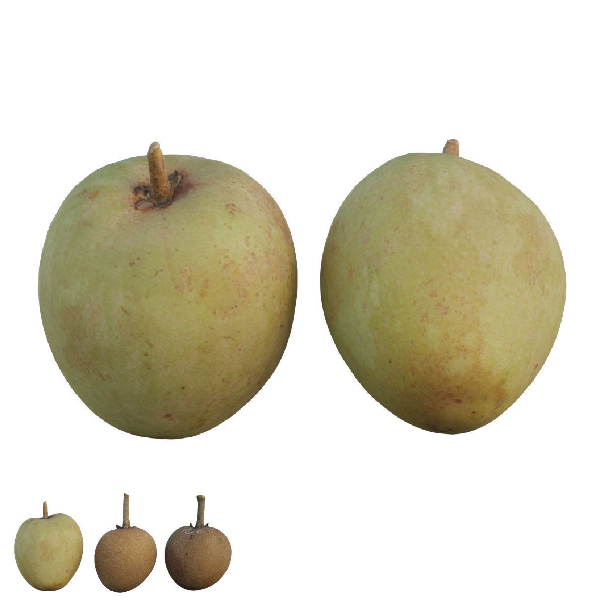 Sapote two mangoes 3D model_1