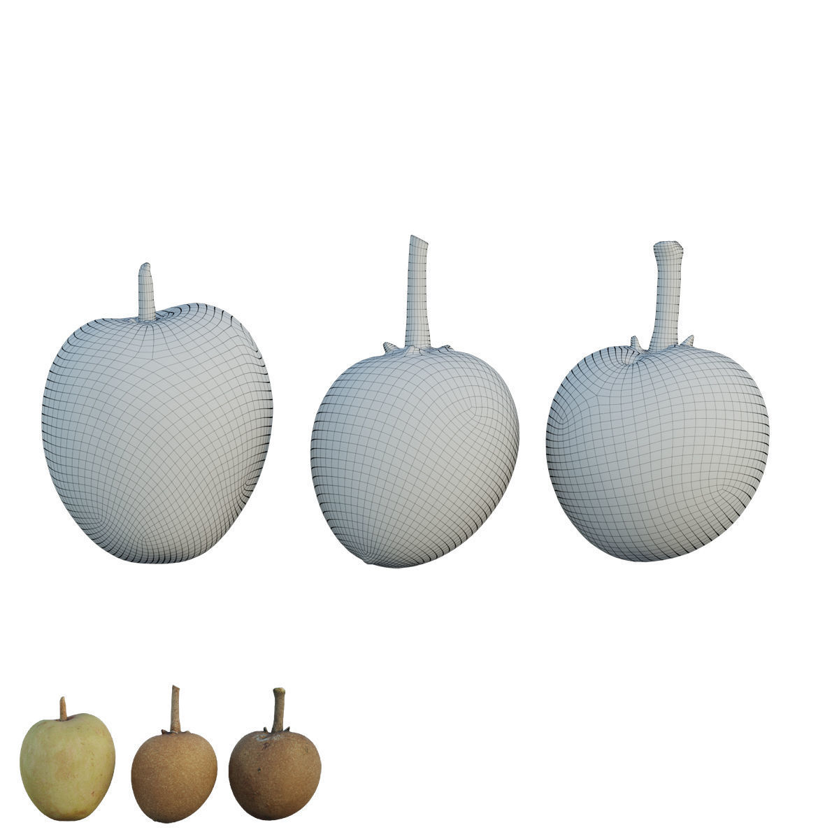 Sapote two mangoes 3D model_6