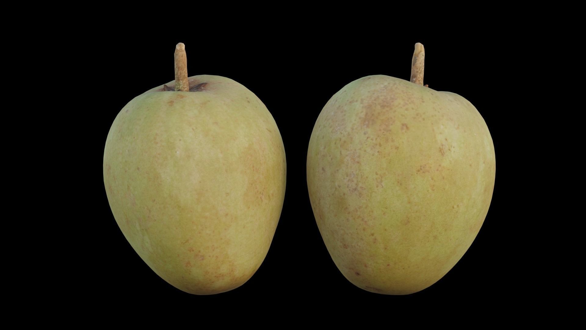 Sapote two mangoes 3D model_11