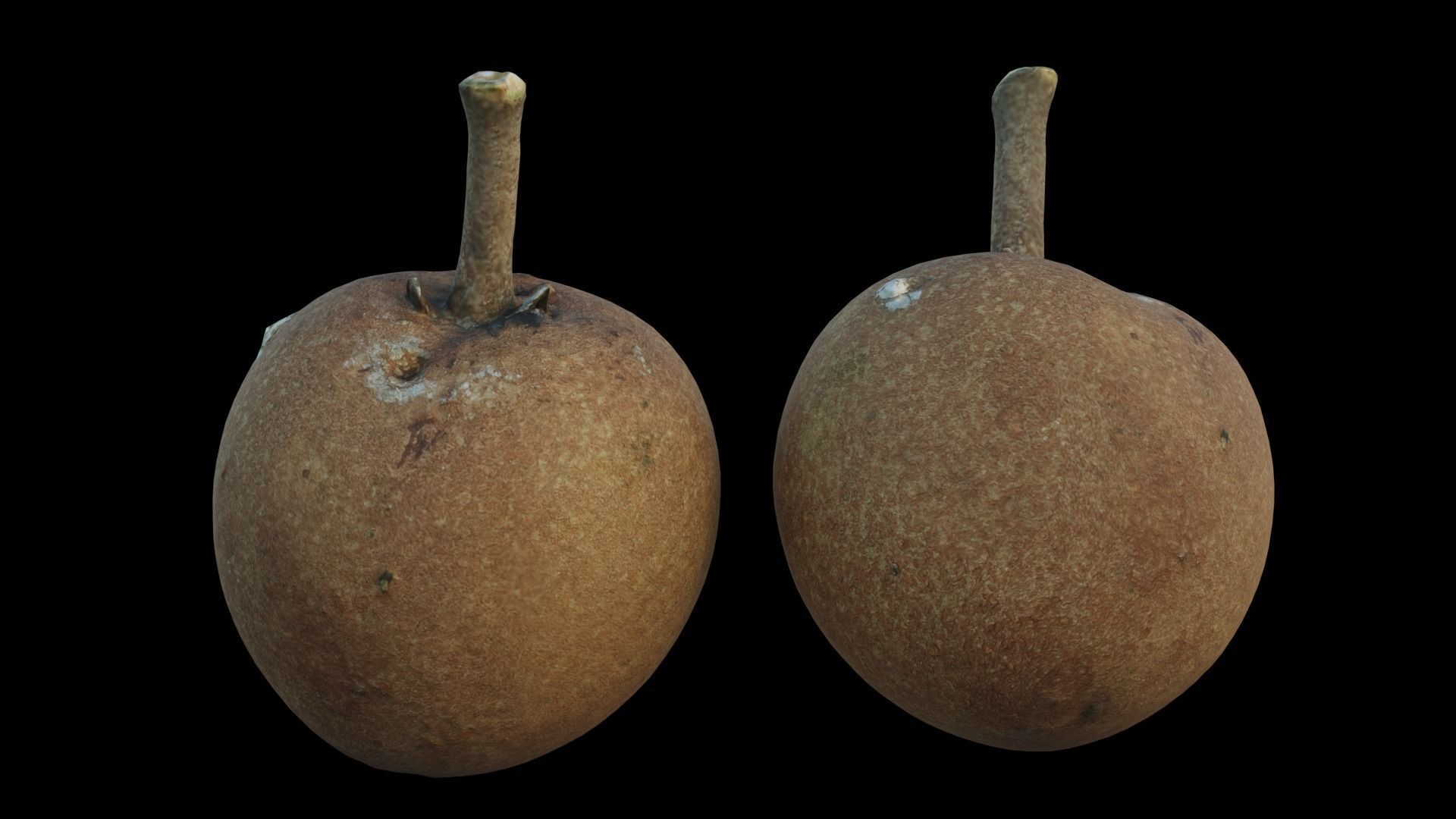Sapote two mangoes 3D model_13