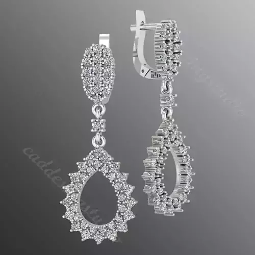 Earrings bi 22