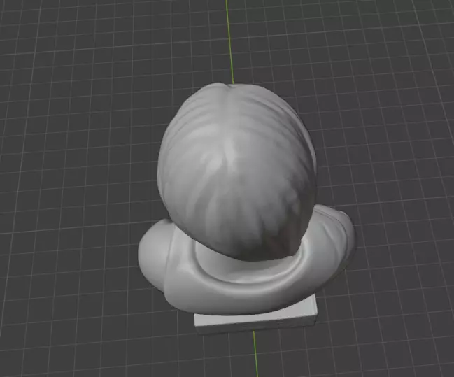 Greta Thunberg 3D print model_9