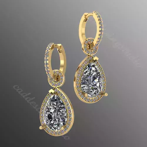 Earrings bi 23