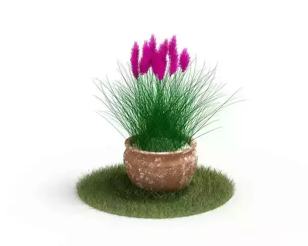 Potted Pink Flower Plant