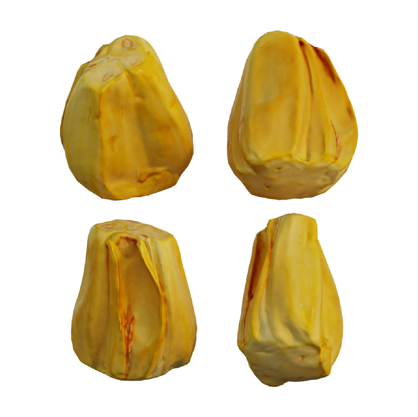 Jack fruit 3D model_4