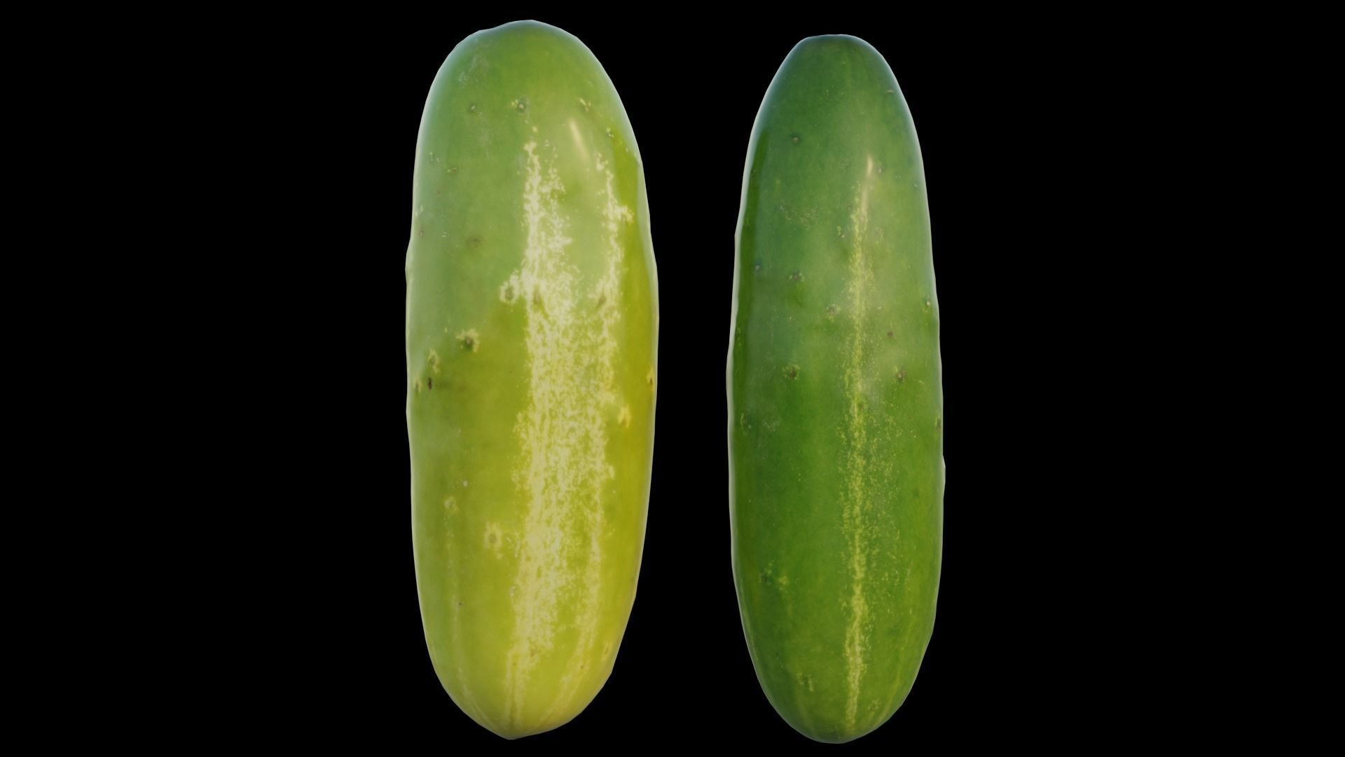 Cucumber two cucumbers 3D model_9