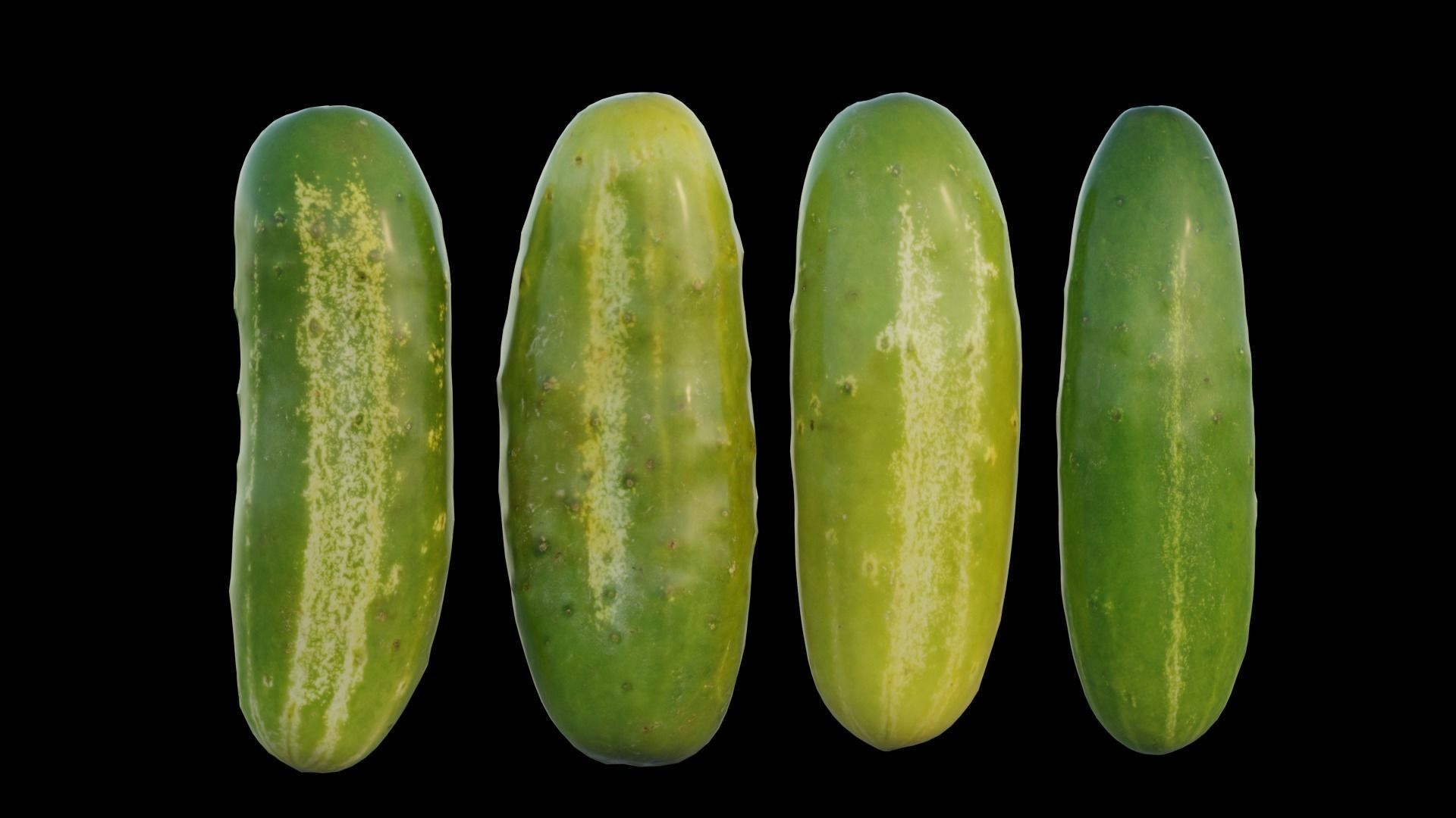 Cucumber two cucumbers 3D model_7