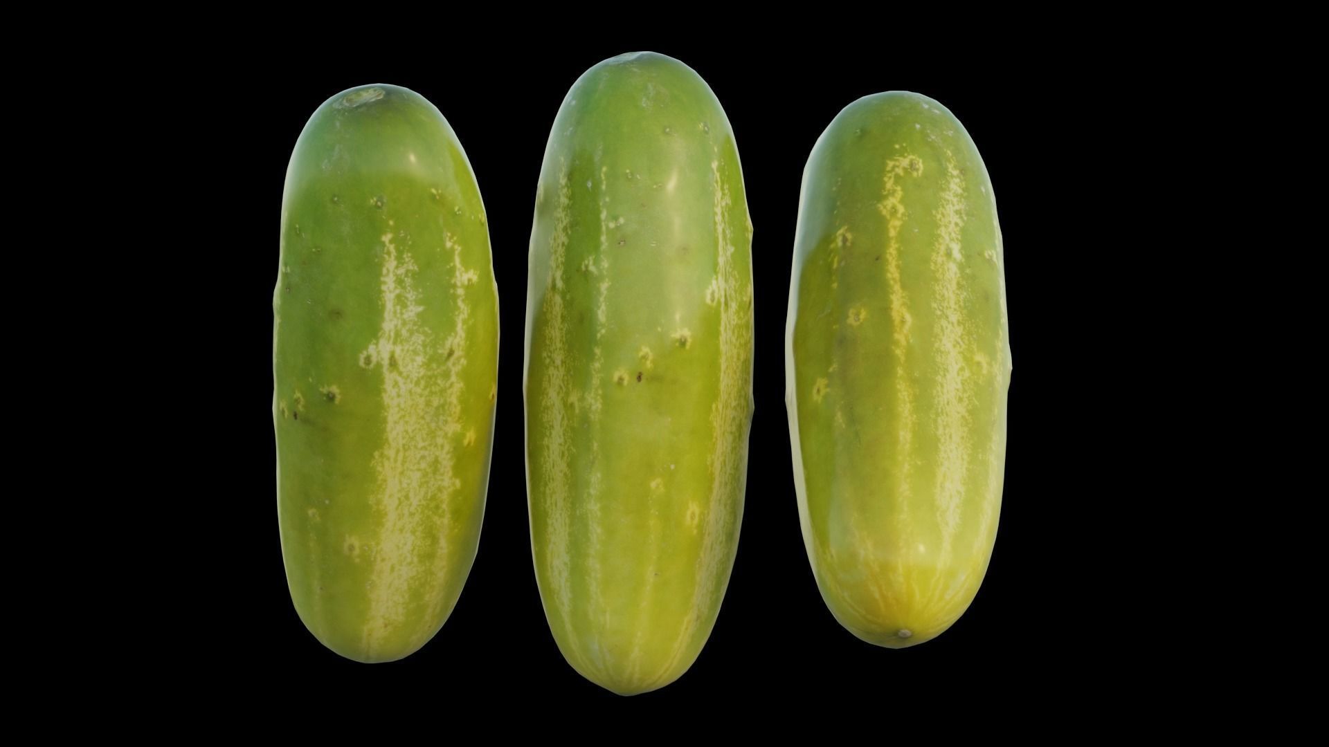 Cucumber two cucumbers 3D model_13