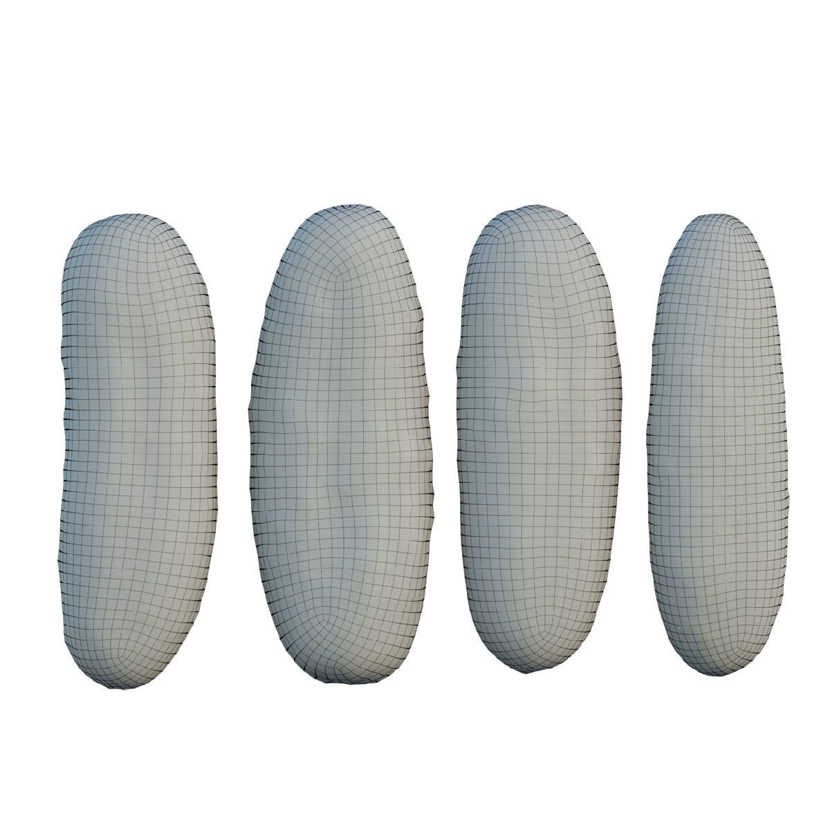 Cucumber two cucumbers 3D model_2