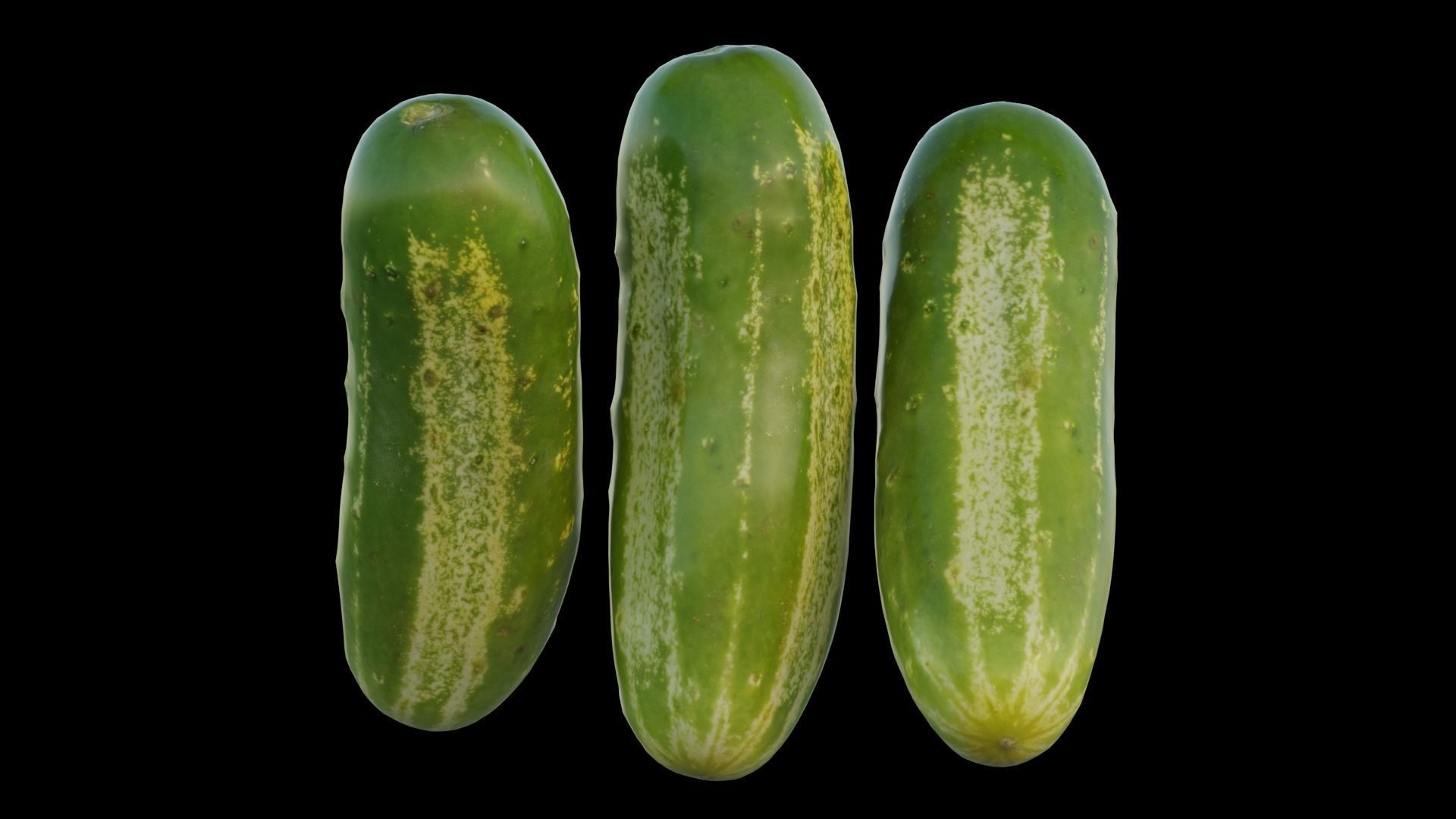 Cucumber two cucumbers 3D model_10