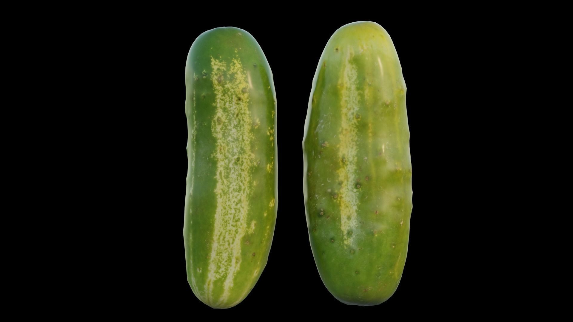 Cucumber two cucumbers 3D model_8