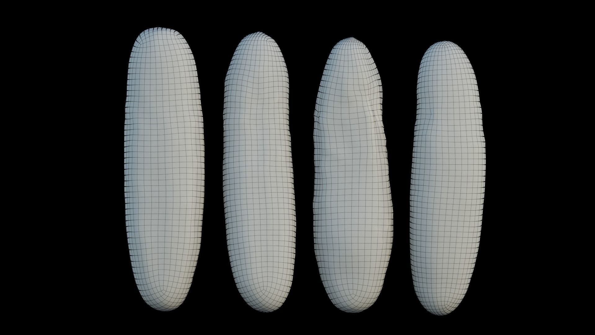 Cucumber 02 3D model_7