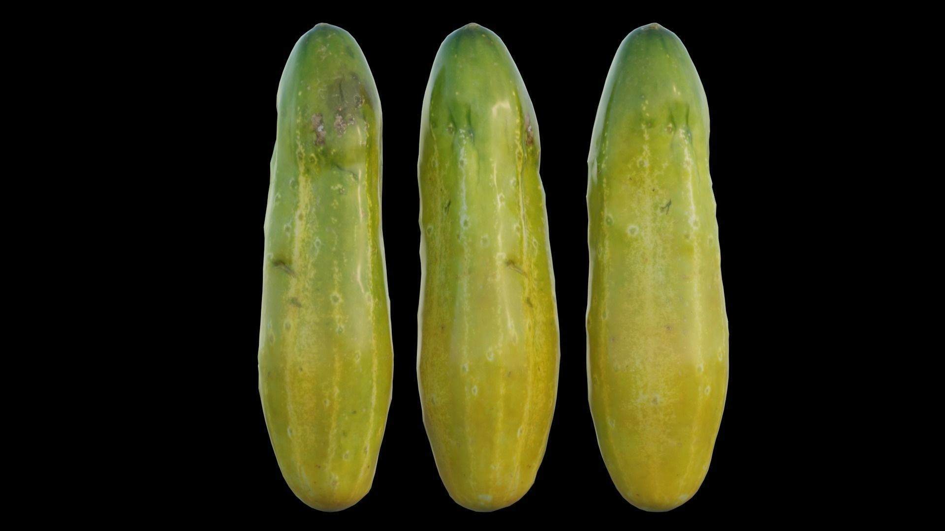 Cucumber 02 3D model_10