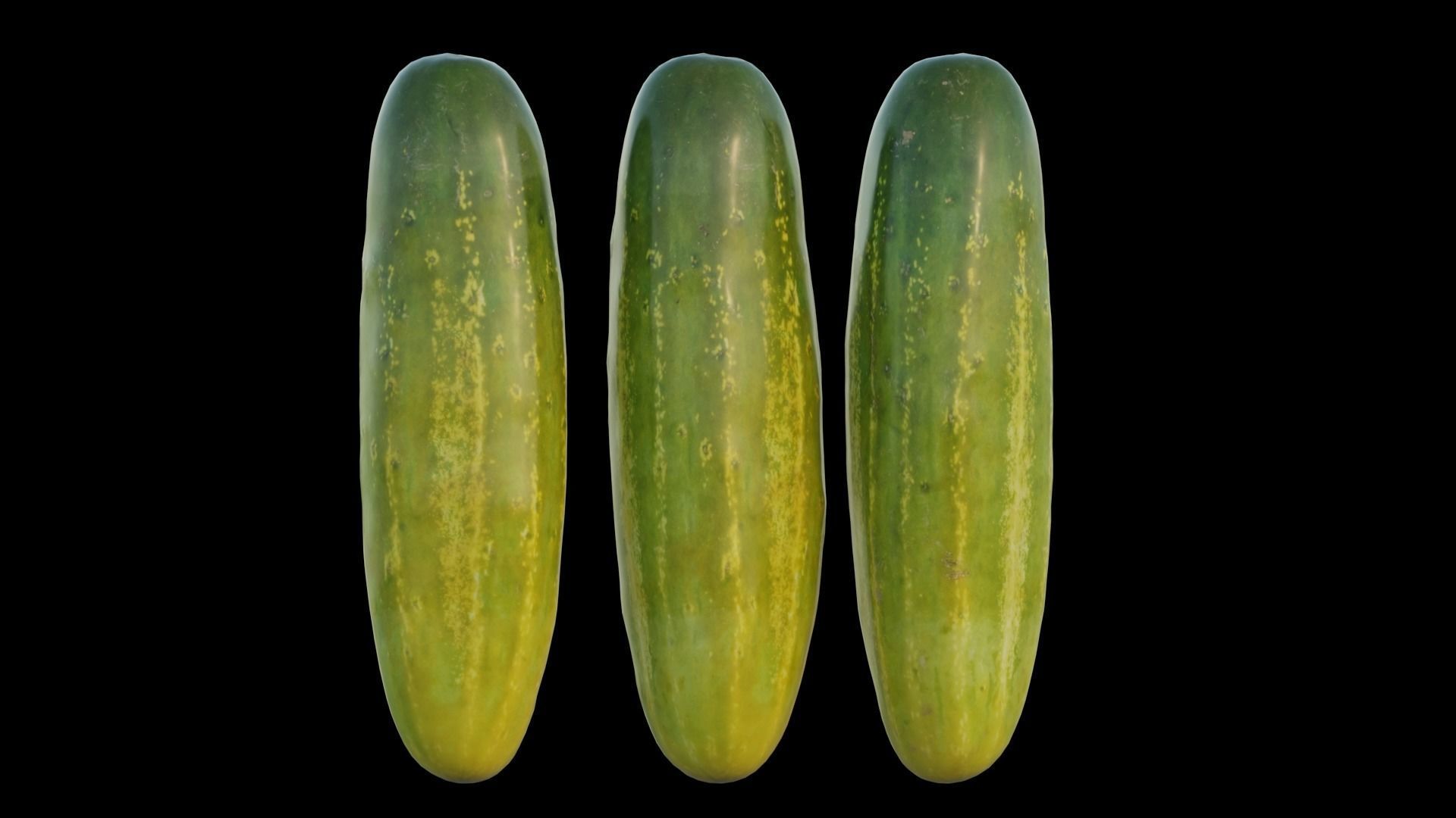 Cucumber 02 3D model_8