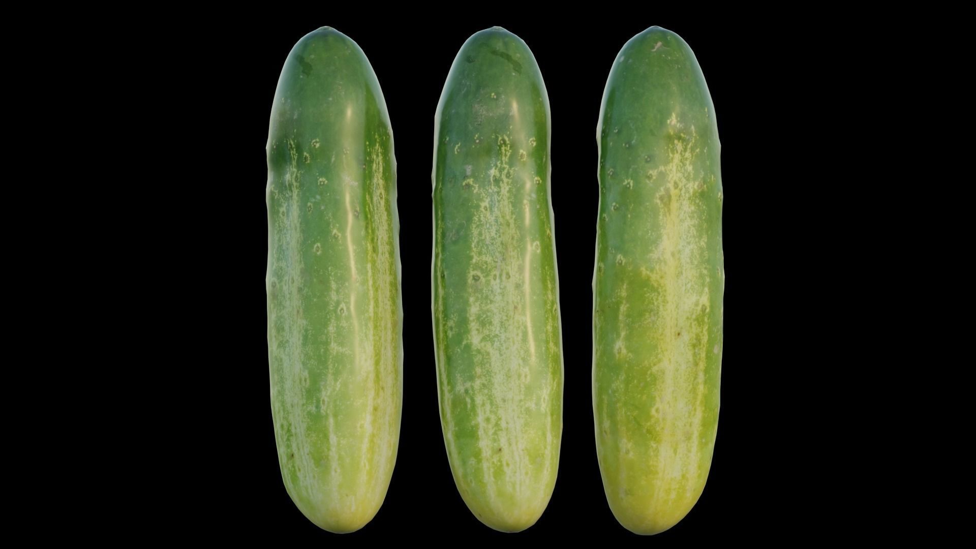 Cucumber 02 3D model_9