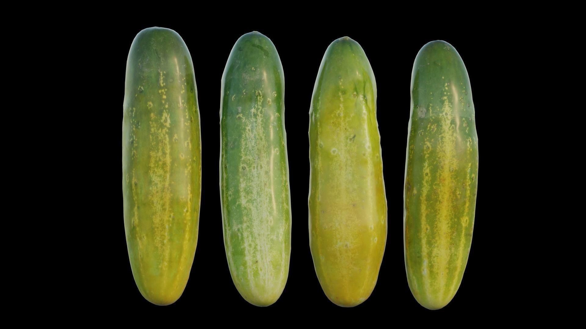 Cucumber 02 3D model_6